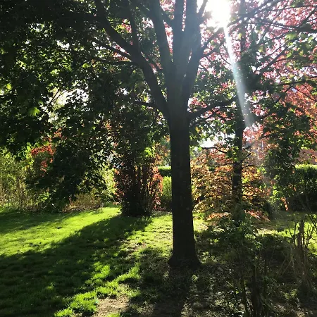 Villa Vincent Im Park, Nahe Messe, Hannover Und Hildesheim