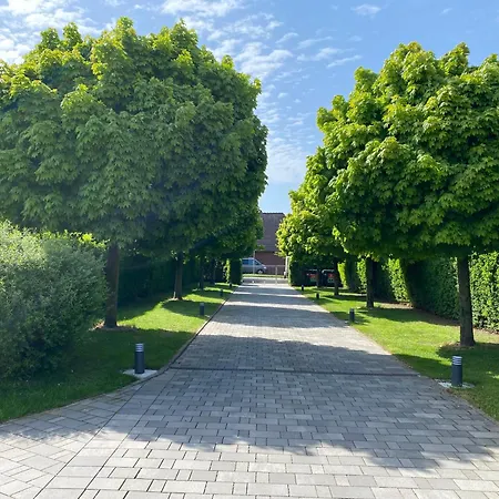 Vincent Im Park, Nahe Messe, Hannover Und Hildesheim * Nordstemmen