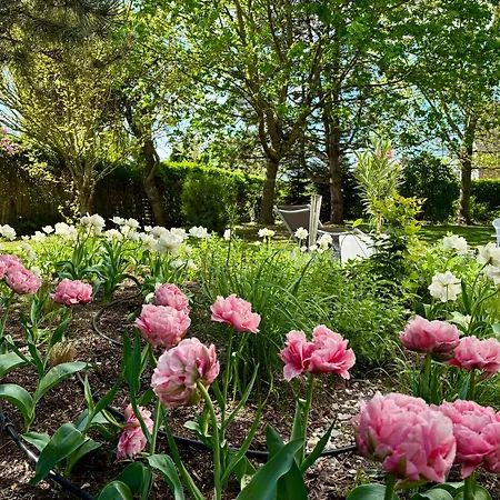 וילה Vincent Im Park, Nahe Messe, Hannover Und Hildesheim Nordstemmen